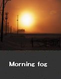 Morning fog