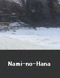 Naminohana