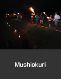 Mushiokuri, torch procession to drive away crop-eating insects, Kyonen, Suzu City.  Summer  Agricultural, Forestry and Fishery Industries Culture and Festivals