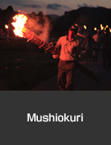 Mushiokuri, torch procession to drive away crop-eating insects, Kyonen, Suzu City.  Summer  Agricultural, Forestry and Fishery Industries Culture and Festivals