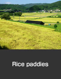 Rice paddies in Nakajima Town in Nanao City, Nanao City.  Autumn