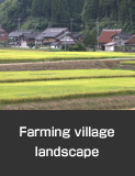 Farming village landscape,  Noto Town.  Autumn