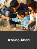 Aze-no-Akari, Shiroyone Senmaida, Wajima City  Autumn