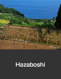 Rice terraces and hazaboshi, rice sheaves drying method, and fixed fishing net in Iori Town, Nanao City. Autumn