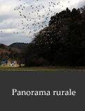 Panorama rurale