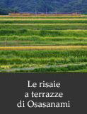 Le risaie a terrazze di Osasanami