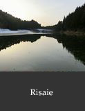 Risaie