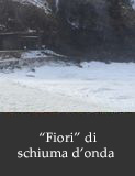 'Fiori' di schiuma d'onda