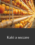 Kaki a seccare