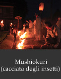 Mushiokuri(cacciata degli insetti)