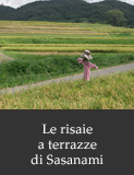 Le risaie a terrazze di Sasanami