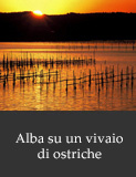 Alba su un vivaio di ostriche