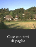 Case con tetti di paglia