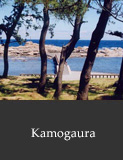 Kamogaura