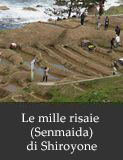 Le mille risaie (Senmaida) di Shiroyone