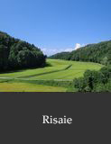 Risaie