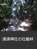 須須神社の社叢林